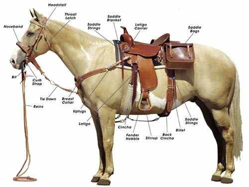 Horse Tack Finance Program